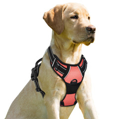 Arnés BarkBay con clip frontal para perros grandes, control de tirones en paseos