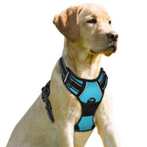 BARKBAY Arnés No Pull con clip frontal en azul para control suave