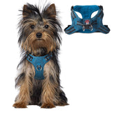 Arnés BarkBay azul y negro con paso ajustable para paseos diarios