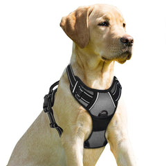 BARKBAY arnés sin tirones con clip frontal para caminatas más tranquilas