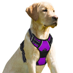 BARKBAY arnés sin tirones, vista general para paseos confortables