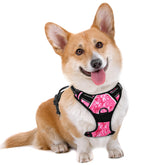 BARKBAY arnés sin tirones con clip frontal para entrenamientos más controlados.