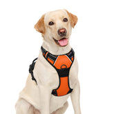 Arnés BARKBAY sin tirones para perros grandes, diseño cómodo para paseos.