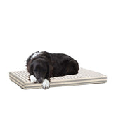 Cama ortopédica BarkBox en plataforma para perros con soporte articulaciones