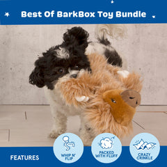 BarkBox Dingbert, dos sonajeros para sonidos durante el juego.