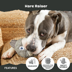 Barkbox Hare Raiser: diseño único que prolonga la diversión y la exploración.