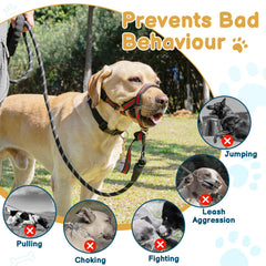 BARKLESS arnés de cabeza cómodo para paseos tranquilos y sin tirones.
