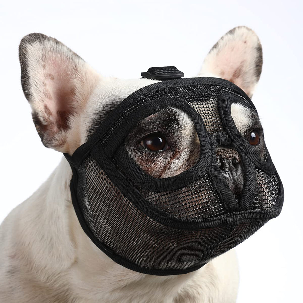 Bozal Barkless con hocico corto y malla aireada para paseos seguros