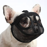 Bozal Barkless con hocico corto y malla aireada para paseos seguros