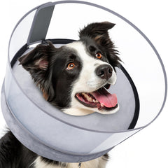 BARKLESS Donut Collar con ajuste correcto ofrece seguridad y comodidad para perros.