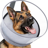 BARKLESS Collar Donut, vista lateral, protege la herida sin limitar la movilidad.