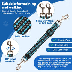 BARKLESS entrenamiento sin tirón para caminar con menos tirones.