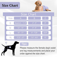 Pañales reutilizables Barklincharm para perras mujer: opción ecológica y duradera.