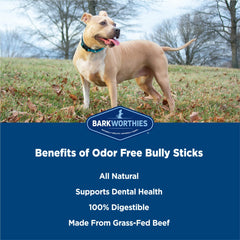 Barkworthies palitos Bully de 6 pulgadas, en mordida del perro, sabor agradable.