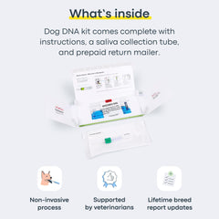 Basepaws características ADN perro rasgos, identifica más de 30 rasgos de mezcla
