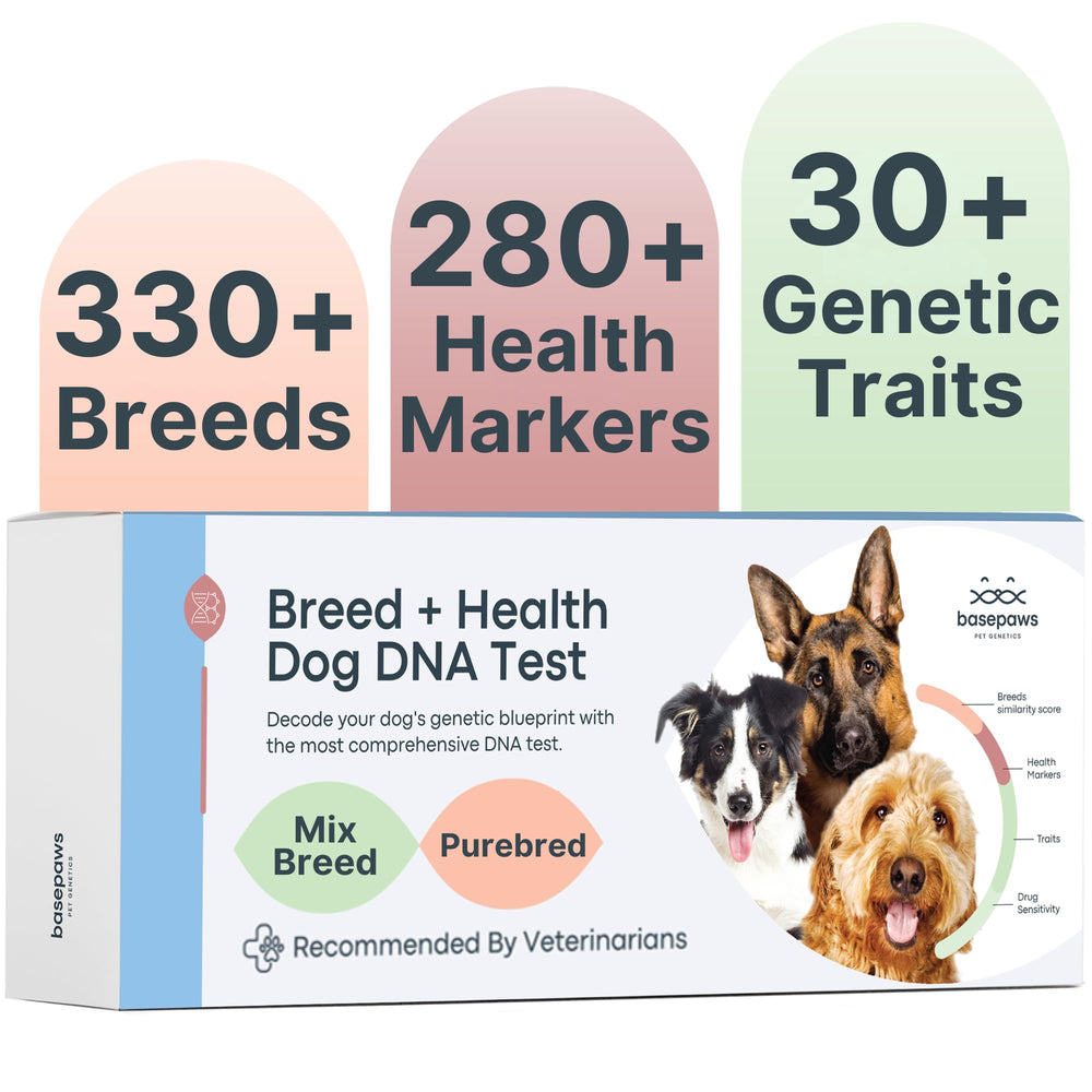 Basepaws Kit Prueba ADN Perro Razas: identifica mezcla y herencia canina.