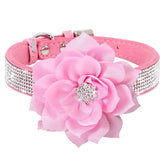 Bbmmayy collar perro con cristales diamantes para lucir elegante y cómodo.