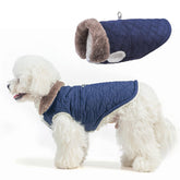BEAUTYZOO abrigo para perros con correa integrada, ideal para paseos sin quitar la chaqueta.