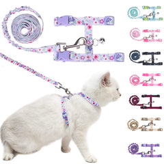 BEAUTYZOO arnés para gato a prueba de escapadas para paseo seguro