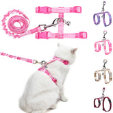 Arnés BEAUTYZOO para gato con ajuste flexible para paseos cómodos.