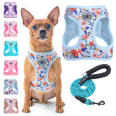 BEAUTYZOO arnés para perro floral reflectivo, talla XXS-XS-S para paseos seguros.