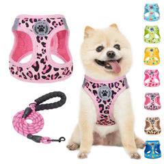 BEAUTYZOO arnés perro paso entrar Leopardo Rosa XS para paseos fáciles