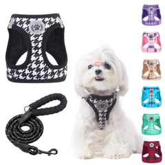 BEAUTYZOO arnés para perro pequeño con cuadro, cómodo y seguro para paseos.