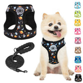 Arnés BEAUTYZOO para perro pequeño con malla acolchada, cómodo para paseos diarios.