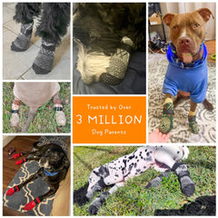 BEAUTYZOO calcetines-perro-ajuste-elastico-tobillo facilitan ponerse y quitarse sin resbalar.