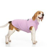 BEAUTYZOO chaleco para perro pequeño con enfoque frontal y cálido
