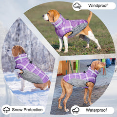 BEAUTYZOO chaleco-perro-con tiras reflectantes para mayor visibilidad nocturna