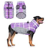 BEAUTYZOO chaleco-invierno-con-harness-reflectivo para paseos nocturnos más visibles