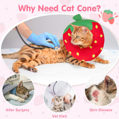 BEAUTYZOO collar-gato-almohada-donut para dormir con protección suave.