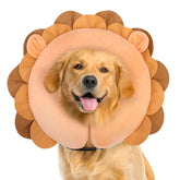 BEAUTYZOO collar rosquilla para perro: confort y recuperación suave.