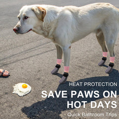 BEAUTYZOO Calcetines para perros protegen las patas en interiores y exteriores