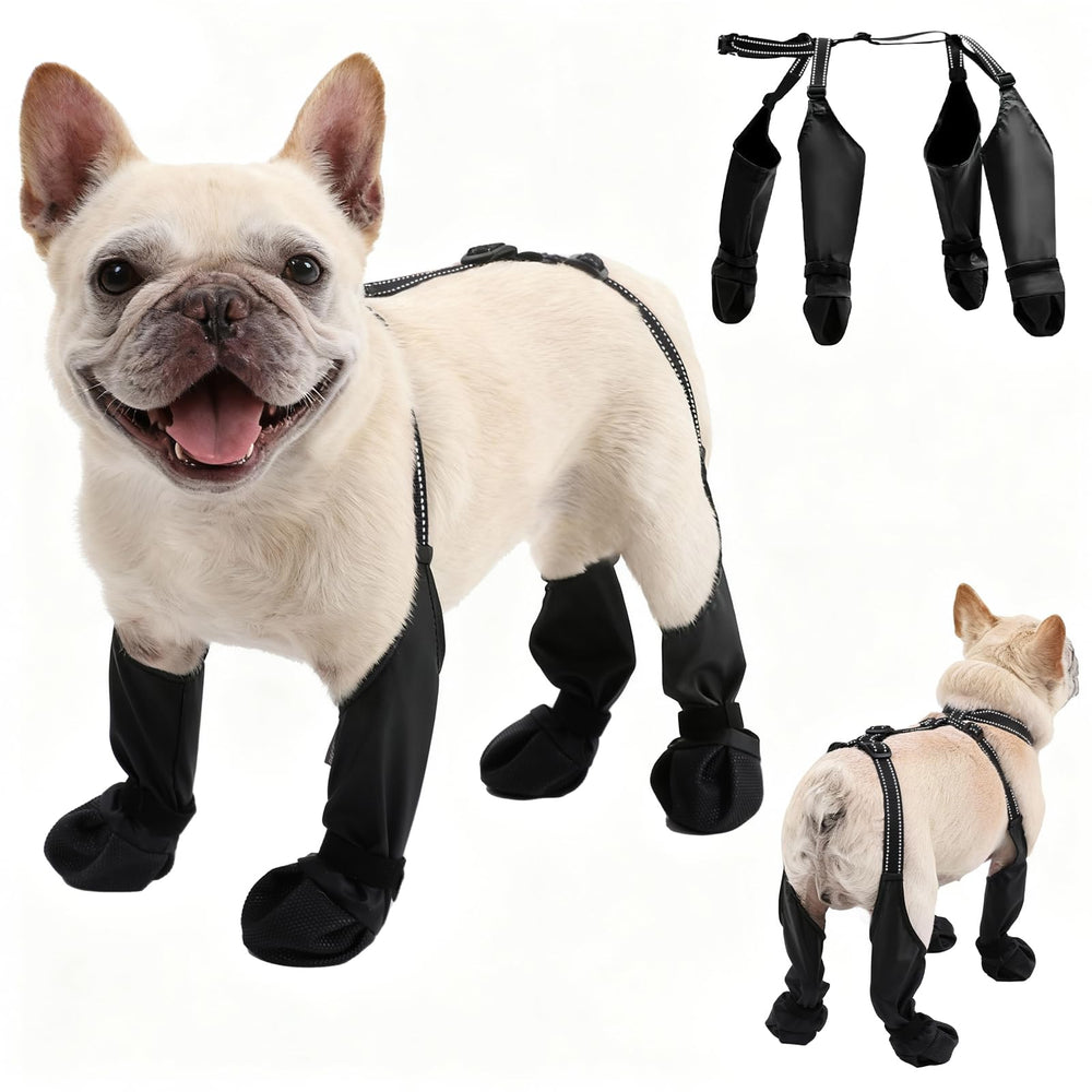 BECEMURU botas impermeables para perros protegen las patas en la lluvia