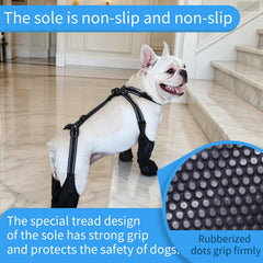 BECROWM botas reflectivas para perros, seguridad nocturna y mejor visibilidad.