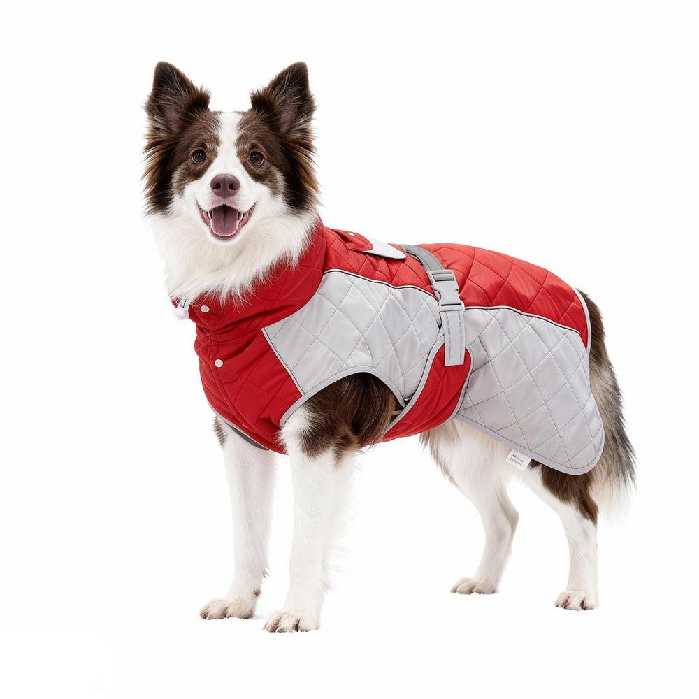 Capa impermeable BECROWM para perro roja, ajuste seguro y a prueba de lluvia ligera.