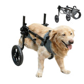 BECROWM silla de ruedas para perro XXL con soporte estable para movilidad diaria