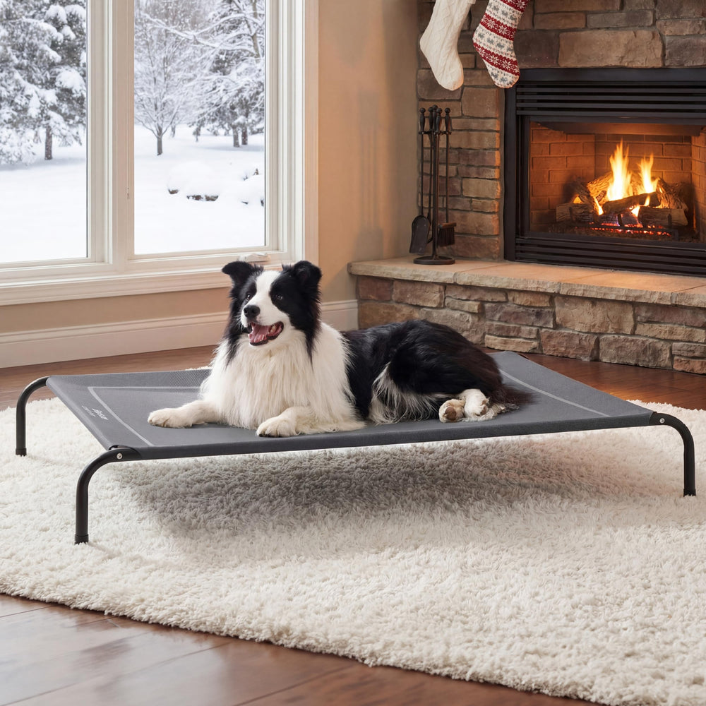 Bedsure cama para perro elevada exterior con malla transpirable, ideal para días calurosos.