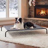 Bedsure cama para perro elevada exterior con malla transpirable, ideal para días calurosos.