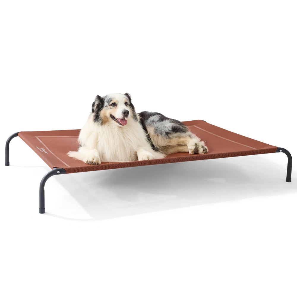Bedsure cama para perro elevada exterior terracota 54 pulgadas, ideal para uso al aire libre.