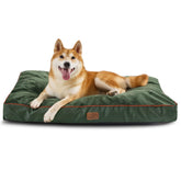 Bedsure cama para perro grande con grosor de 3 pulgadas para apoyo cómodo.