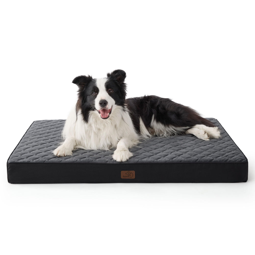 Bedsure cama ortopédica para perros grandes con funda velvet negra, descanso cómodo.