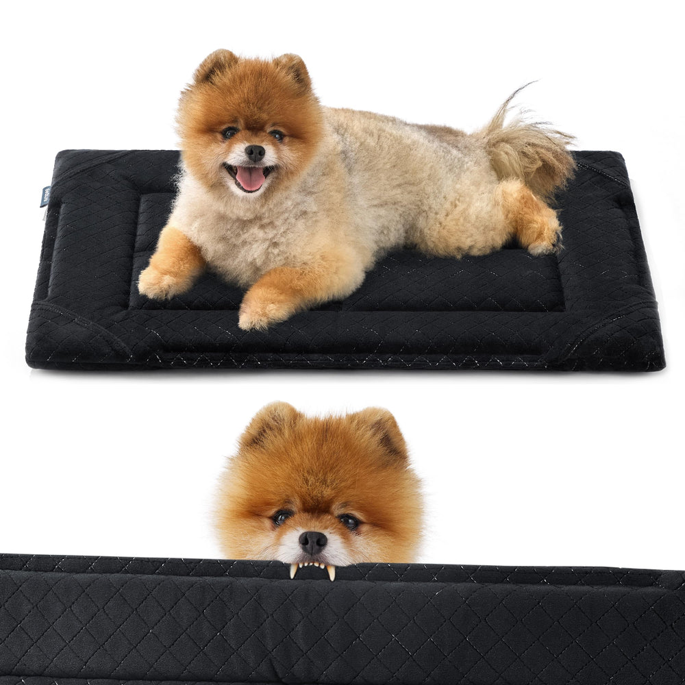 Bedsure cama para perro mordedora pequeña en negro, descanso cómodo.