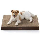 Bedsure cama perro ortopédica con soporte cómodo para articulaciones