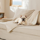 Bedsure manta gato interior impermeable protege el sofá frente a derrames y humedad