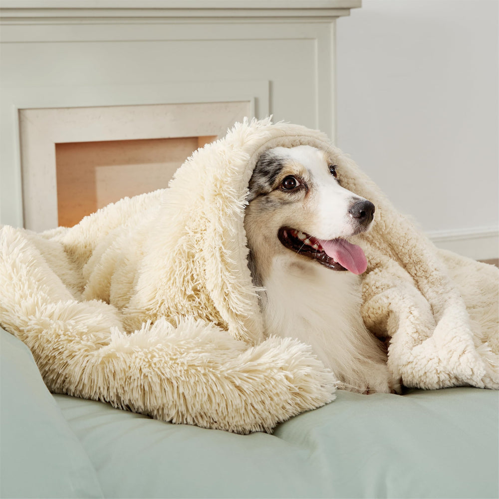 Manta impermeable Bedsure para perros grandes sobre el sofá, protegiendo de derrames.