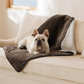 Bedsure manta impermeable para perros medianos protege el sofá con tapicería café