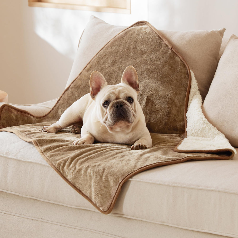 Bedsure manta impermeable para perro, frontal, protege el sofá de derrames.